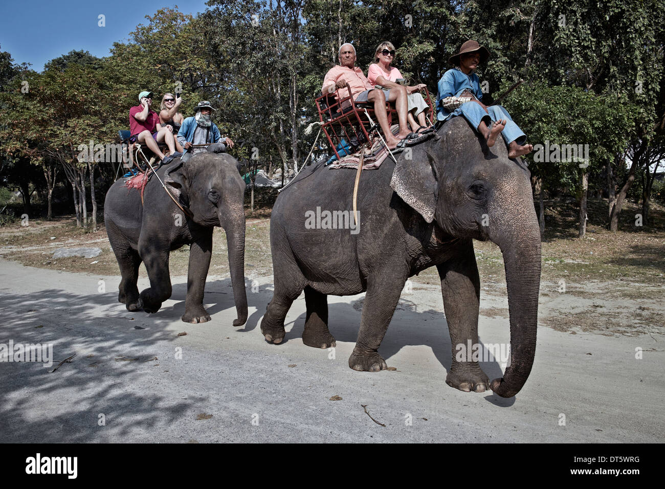 Touristes et mahout trekking éléphant en Thaïlande tourisme S. E. Asie Banque D'Images