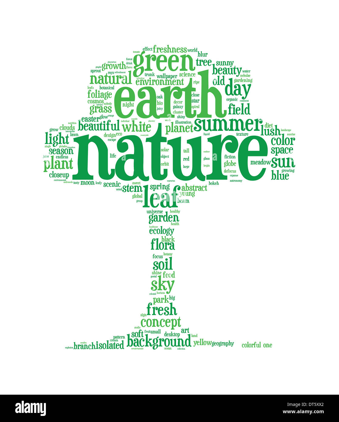 Info-arbre et la disposition graphique du texte (Word cloud) concept Banque D'Images