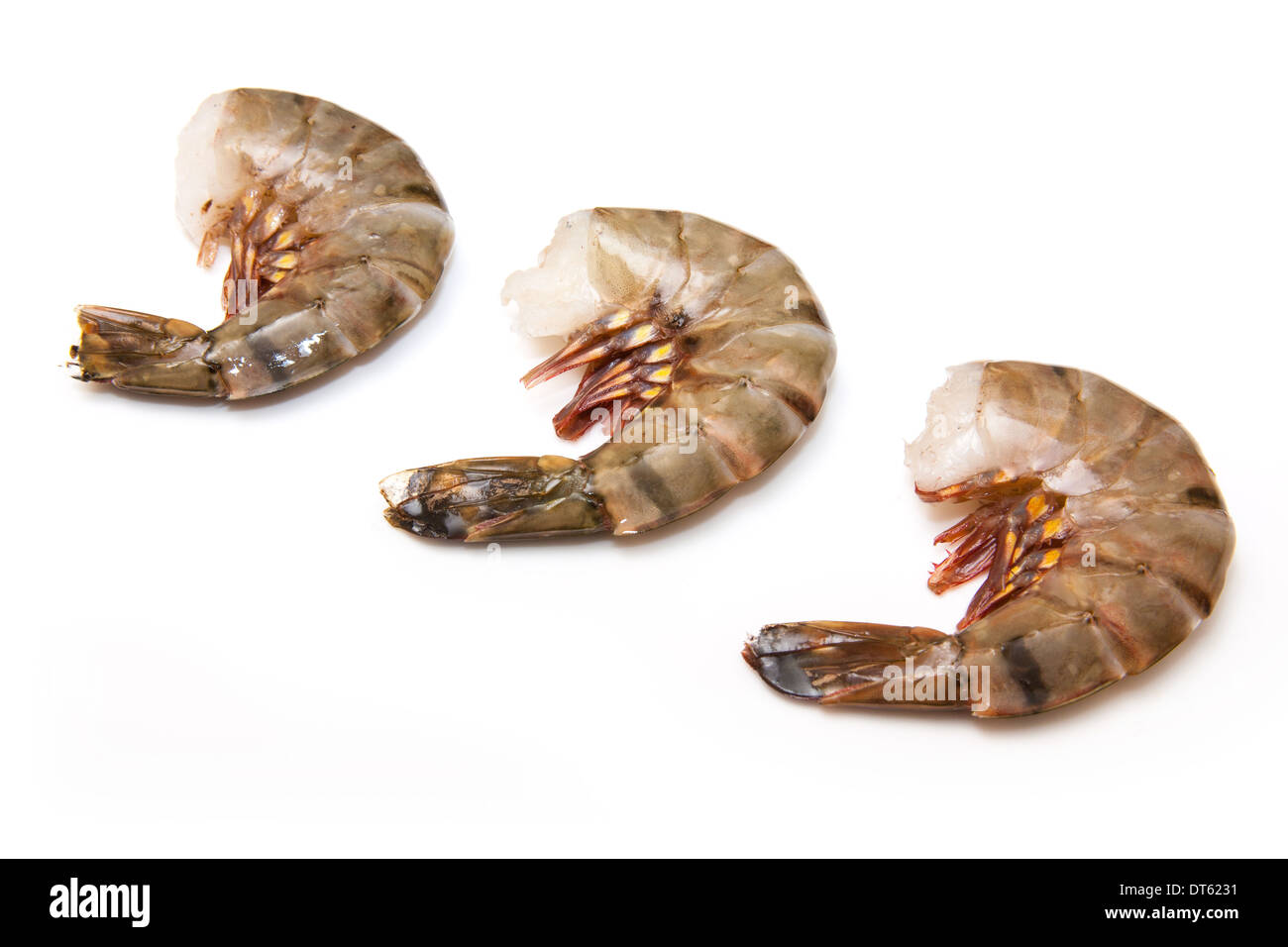 Grande crevette ou tigre asiatique- Crevettes Penaeus monodon. Isolé sur un fond blanc studio. Banque D'Images