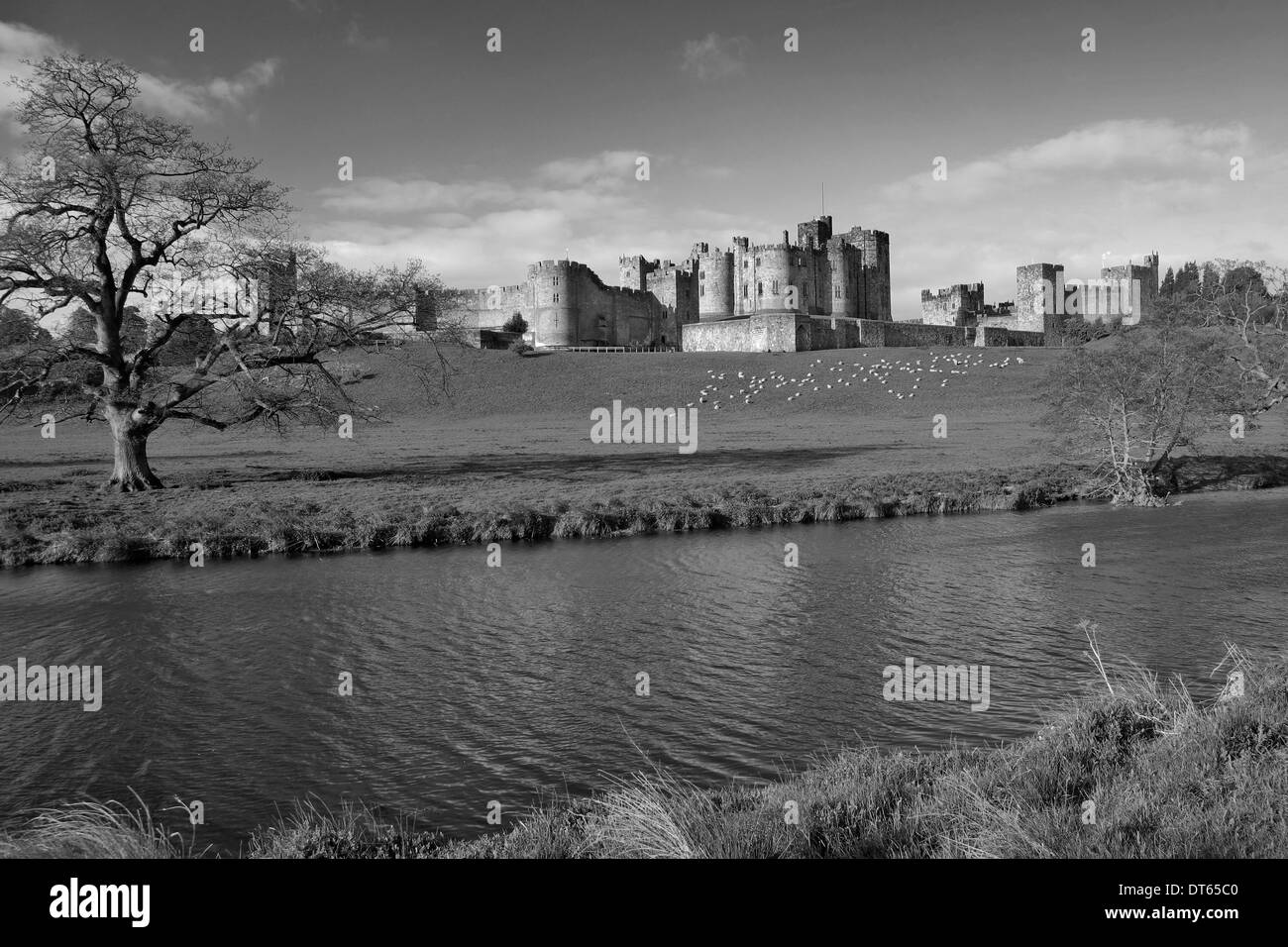 L'été, le château d'Alnwick, rivière Aln, Alnwick, ville du comté de Northumbrie, England, UK Banque D'Images