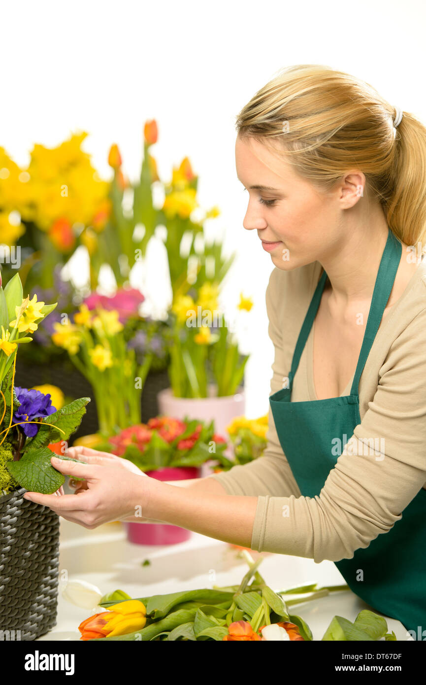 Organiser fleuriste fleurs de printemps en pot coloré tulipes, narcisses Banque D'Images