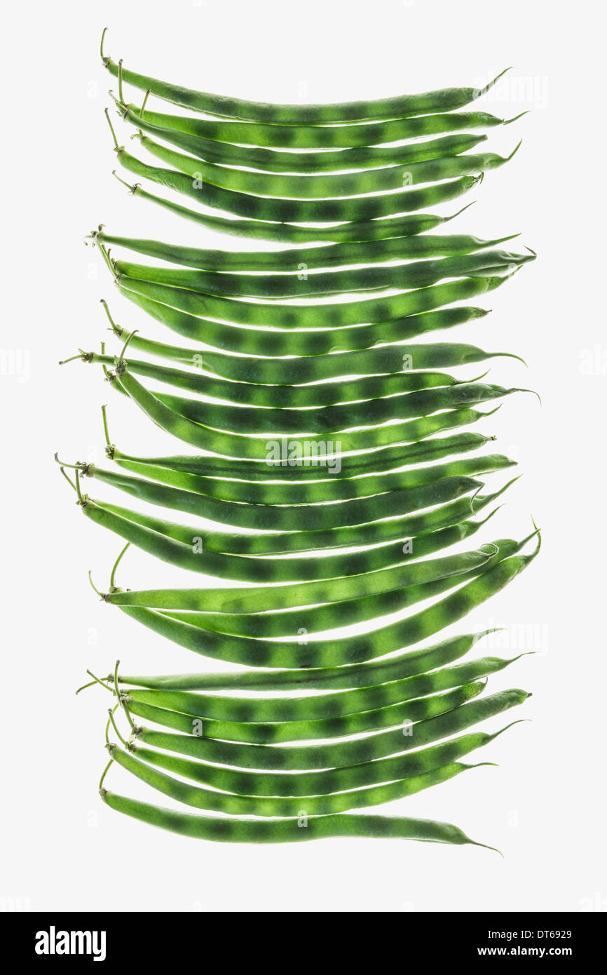 Les haricots vert sur fond blanc Banque D'Images