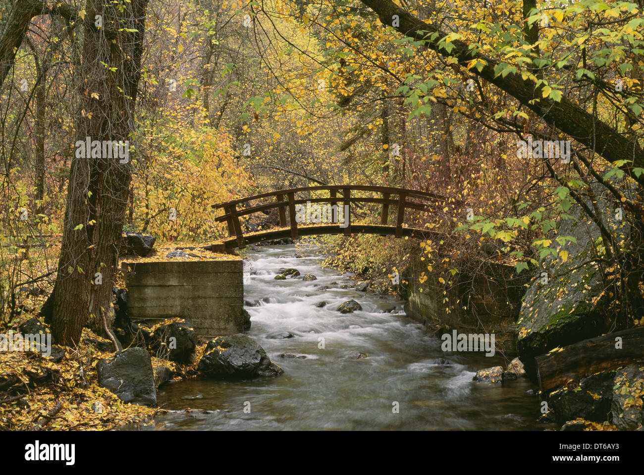 Une rivière qui traverse American Fork Canyon. Petit pont en bois. Feuillage de l'automne, et les feuilles tombées. Banque D'Images