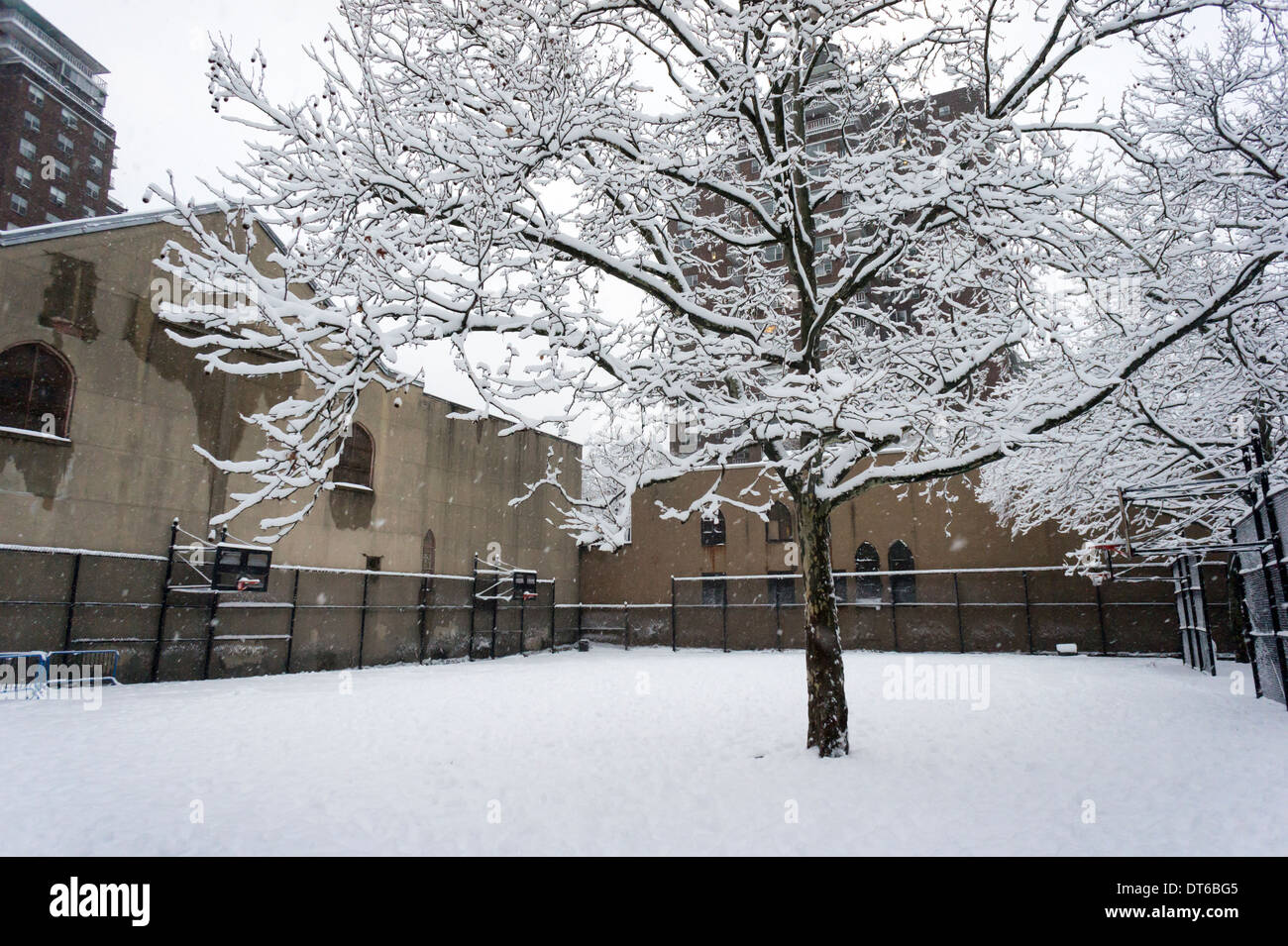 Neige mouillée colle aux branches d'arbres dans le quartier de Chelsea, New York Banque D'Images