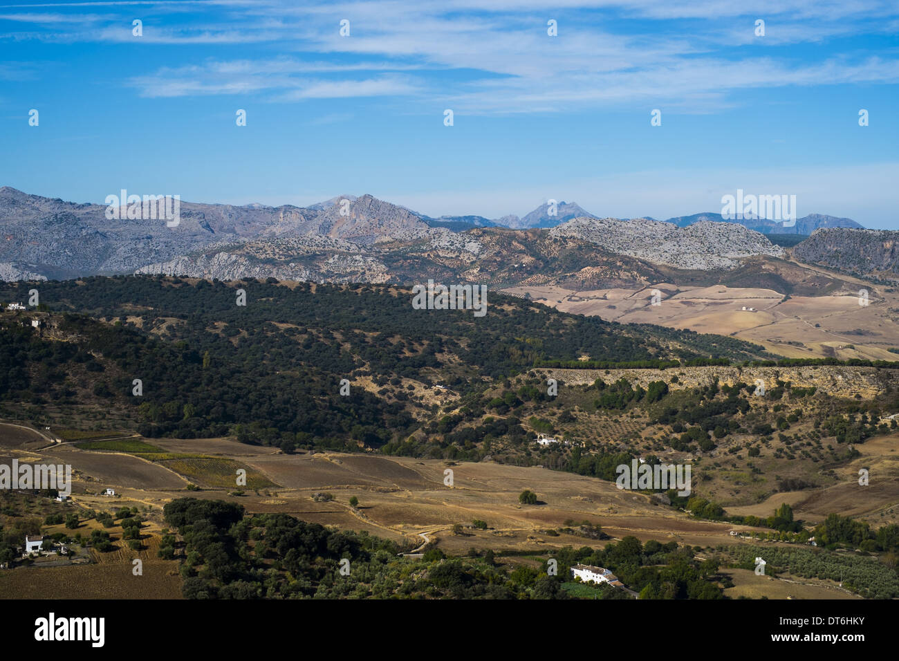 Serrania de Ronda Ronda environnante Andalousie Espagne. Banque D'Images