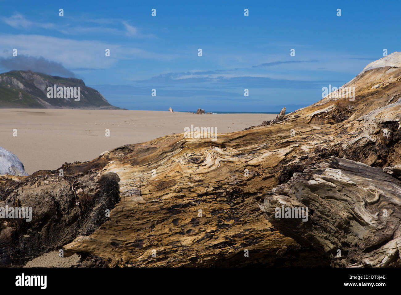 Plage Près de Herbertville, Manawatu-Wanganui, Nouvelle-Zélande Banque D'Images