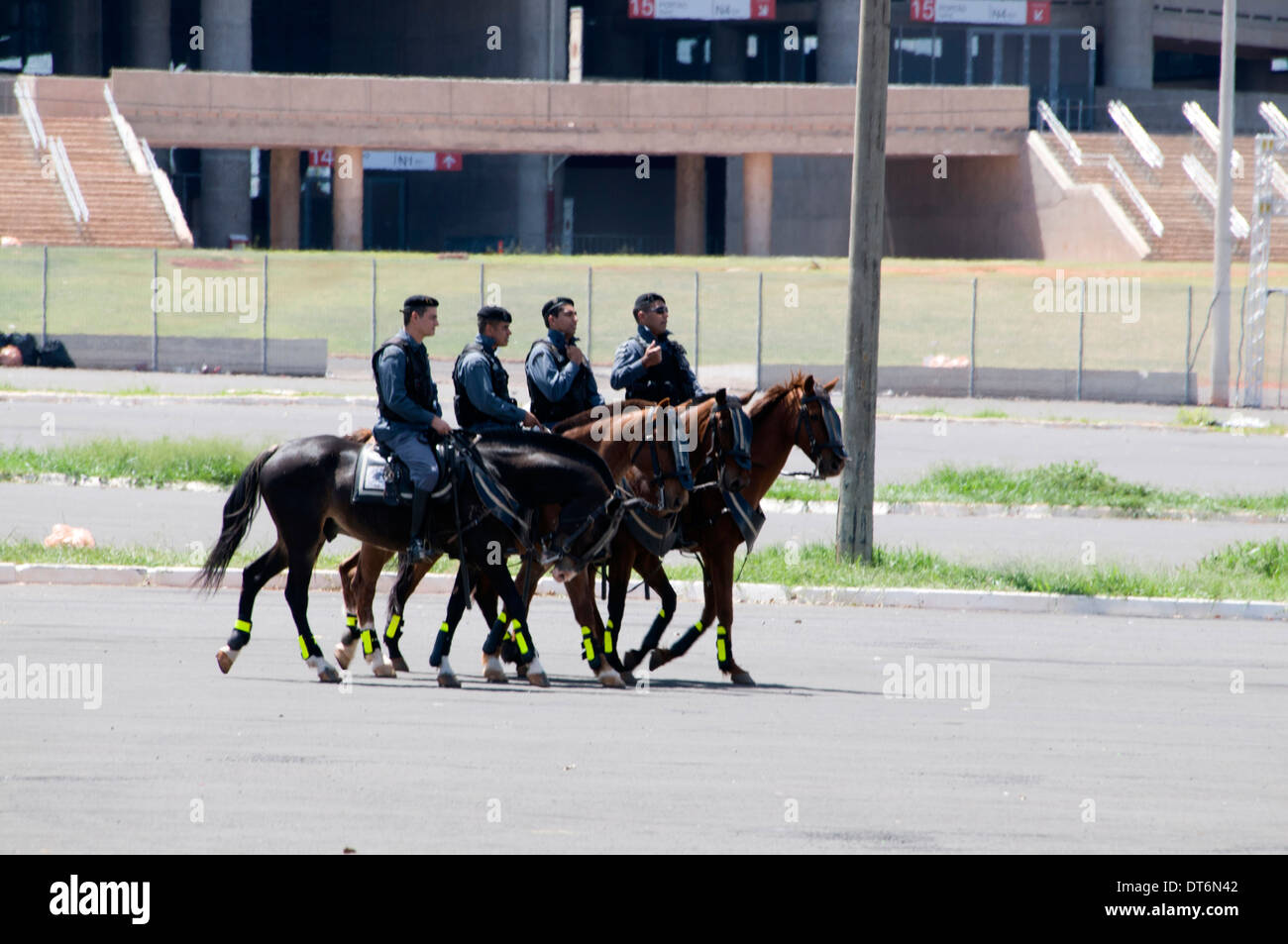 Brasilia canada exerçant leurs chevaux dans un parc à Brasilia, Brésil Banque D'Images