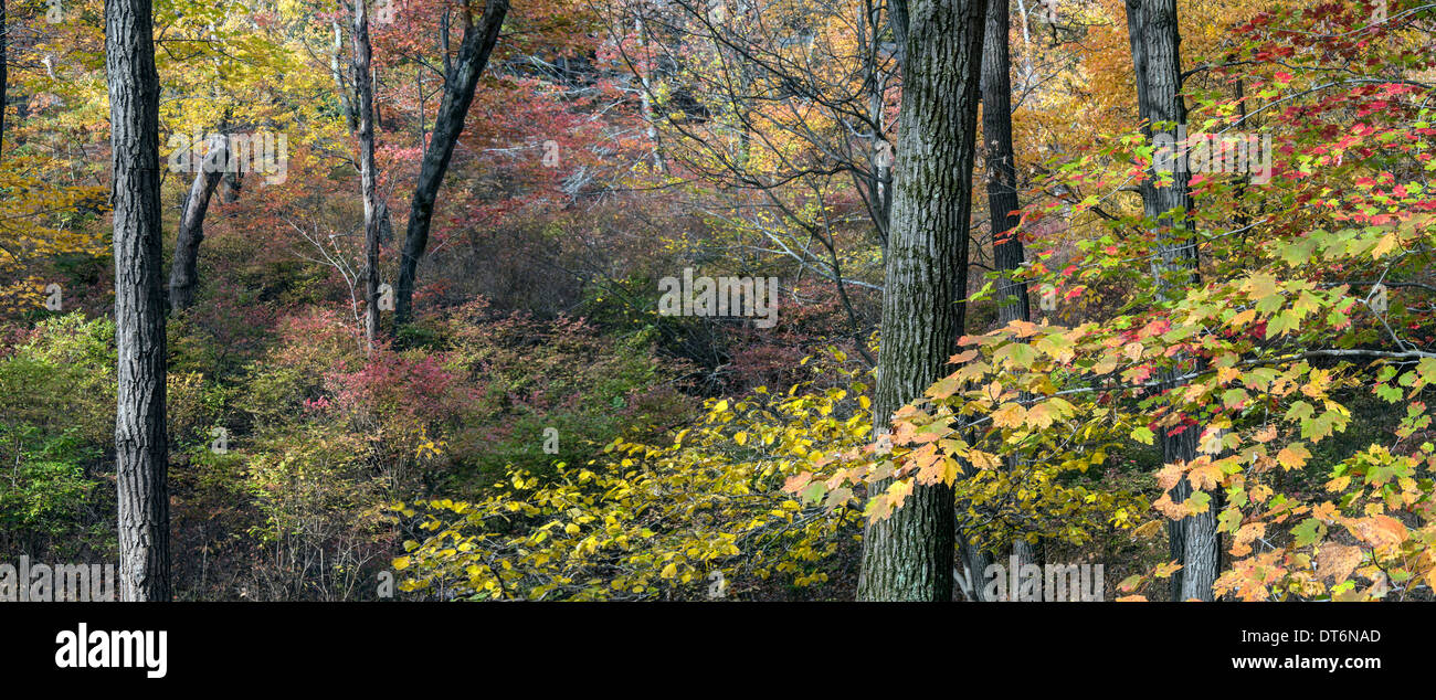 L'automne à Harriman State Park, État de New York par le lac Banque D'Images