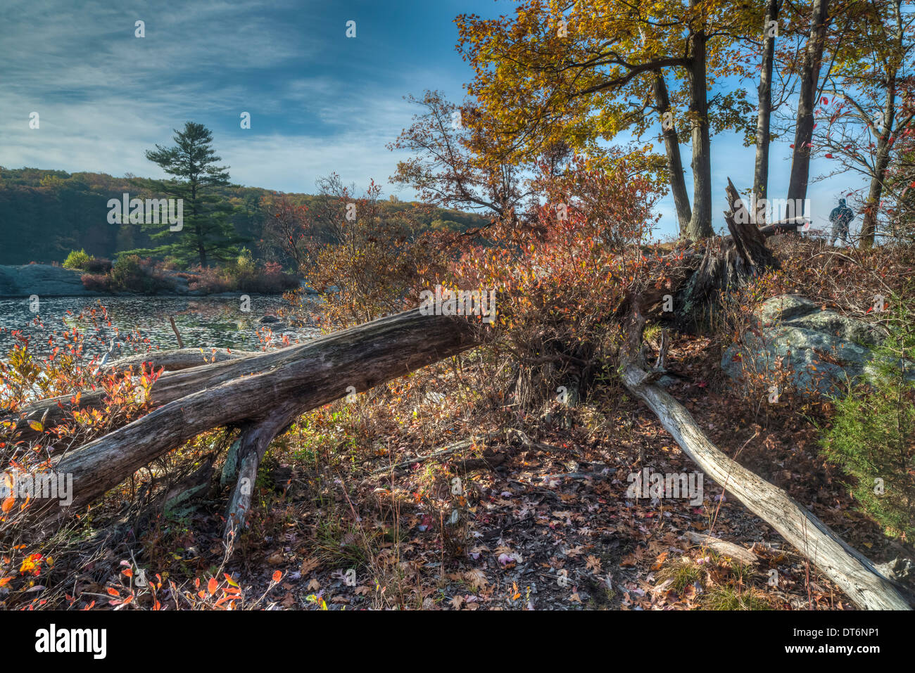 L'automne à Harriman State Park, État de New York par le lac Banque D'Images