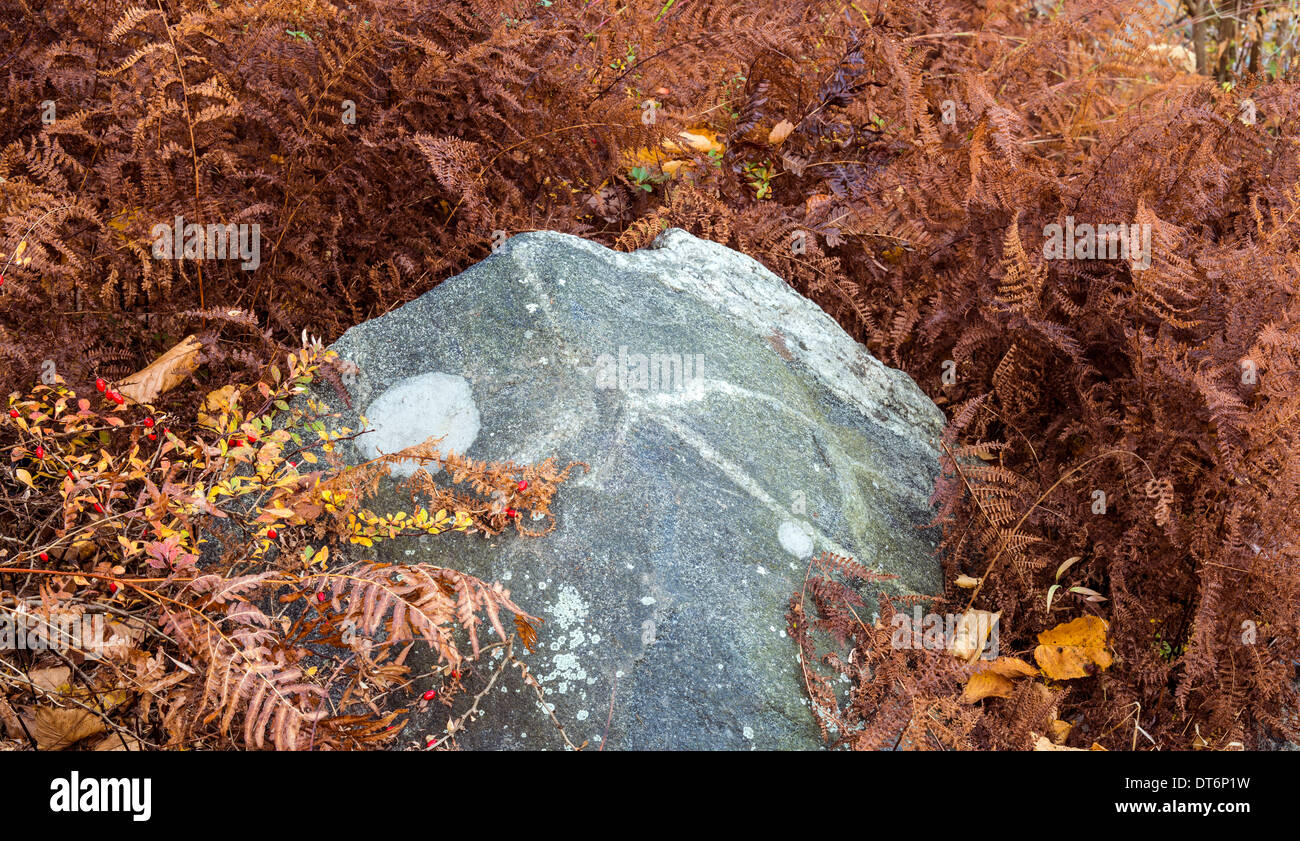 L'automne à Harriman State Park, État de New York par le lac Banque D'Images