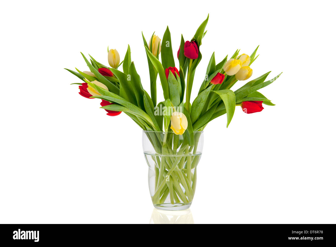 Bouquet de tulipes rouges et blanches en vase en verre Banque D'Images