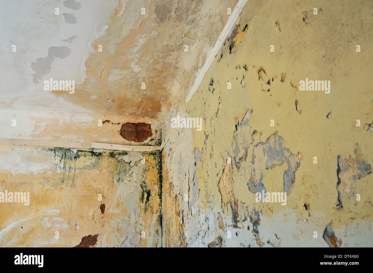 Du moule et de la peinture écaillée sur les murs et au plafond d'une maison abandonnée. Banque D'Images
