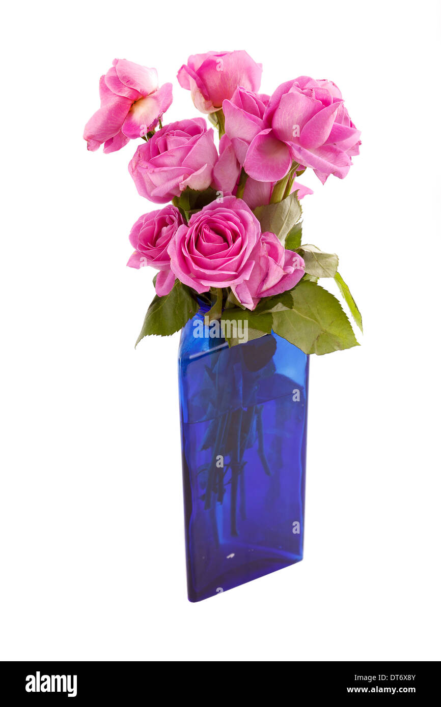 Belles roses roses dans un vase bleu avec une bonne isolation Banque D'Images