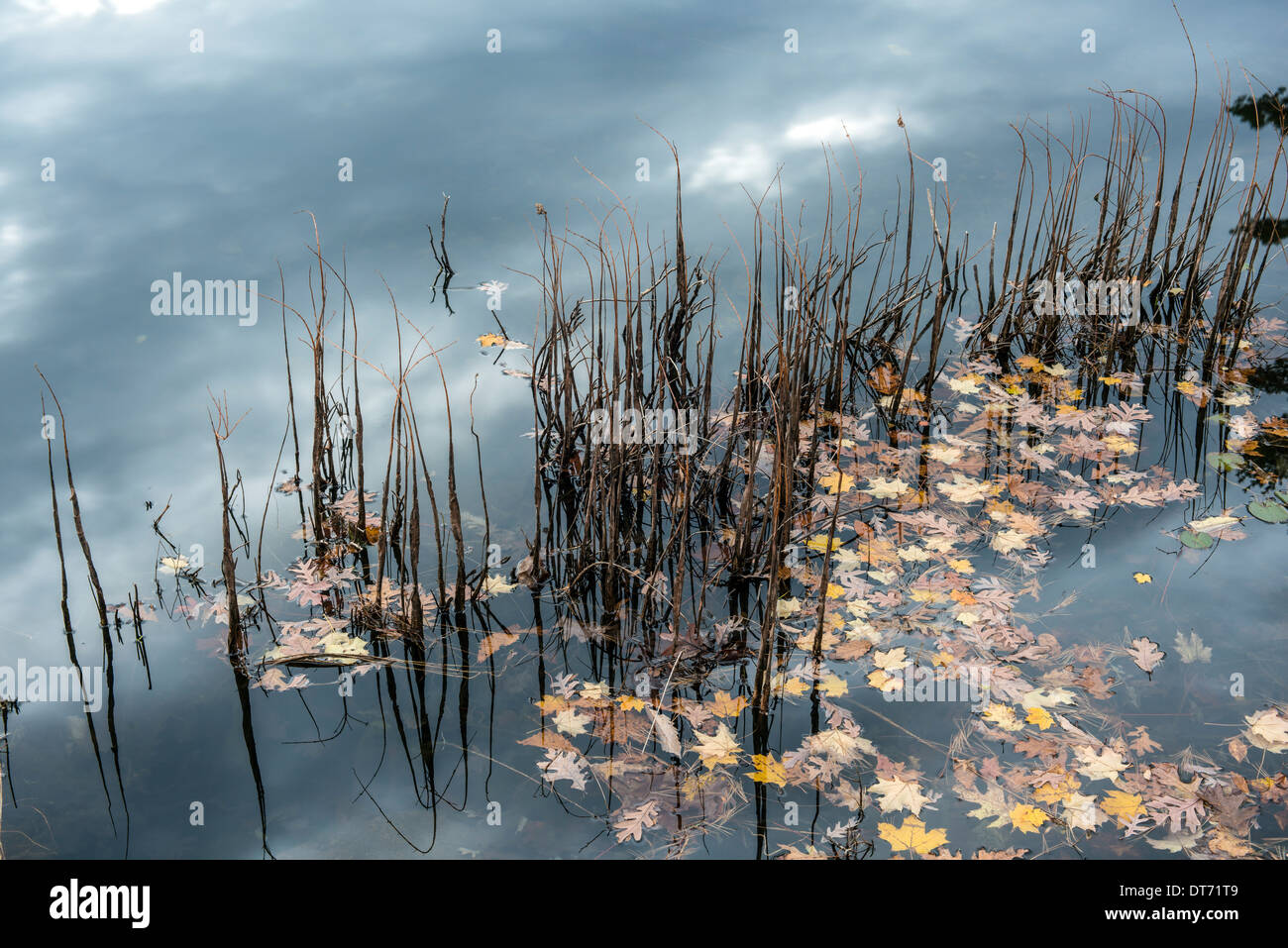 L'automne à Harriman State Park, État de New York par le lac au lever du soleil Banque D'Images