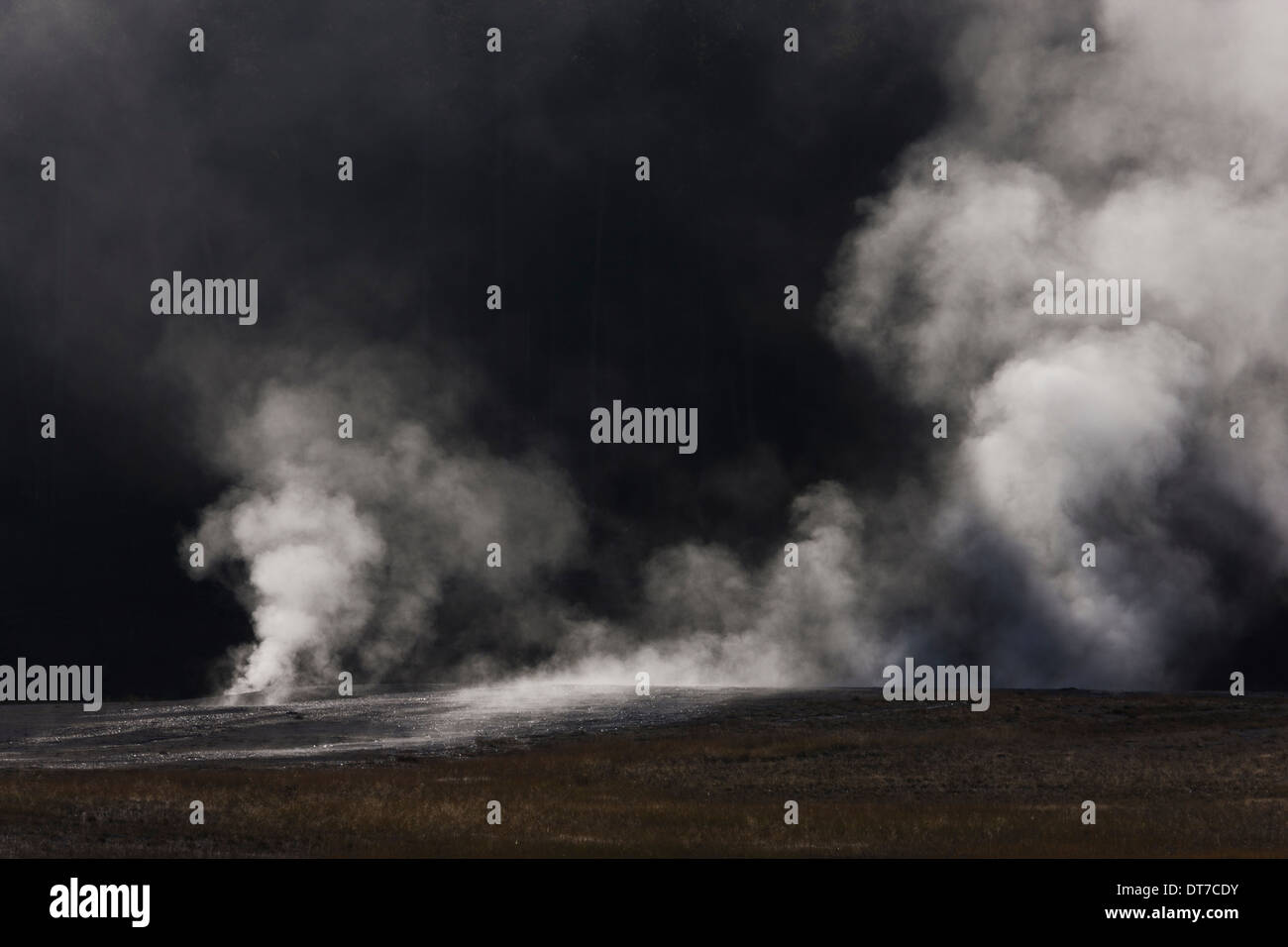 L'activité géothermique et des panaches de vapeur et de la vapeur s'élevant du sol Le Parc National de Yellowstone au Wyoming USA Banque D'Images