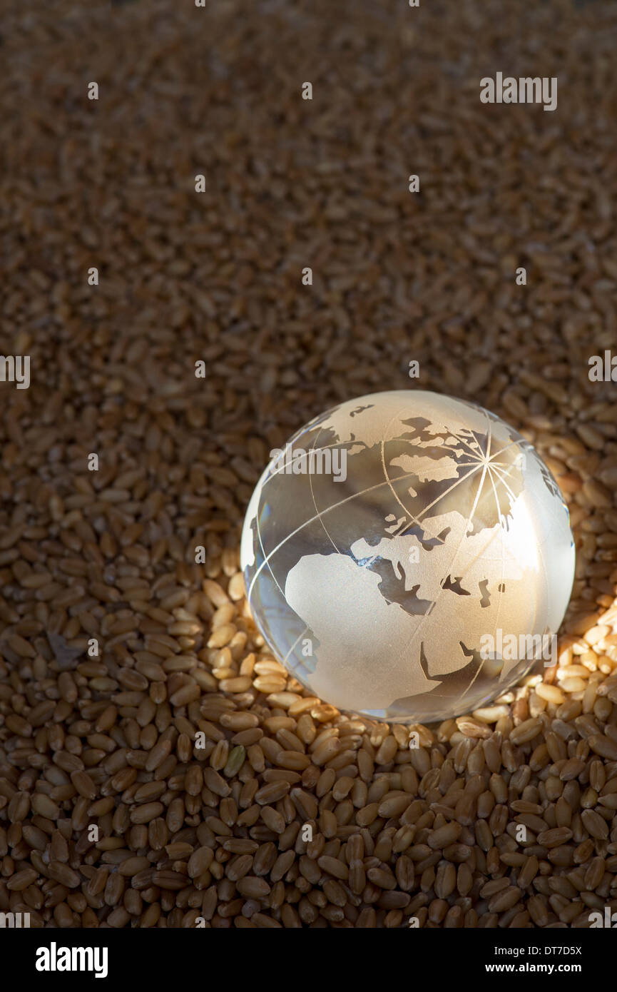 Globe en verre sur les grains du blé mis en lumière par le soleil pour représenter une crise alimentaire / pénurie Banque D'Images