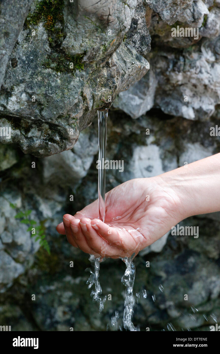La Bénite Fontaine Deau Naturelle Banque Dimages Photo