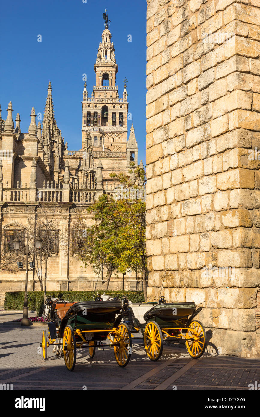 GIRALDA ET VOITURES À CHEVAL À PARTIR DE LA PLAZA DEL TRIUNFO Séville Espagne Banque D'Images