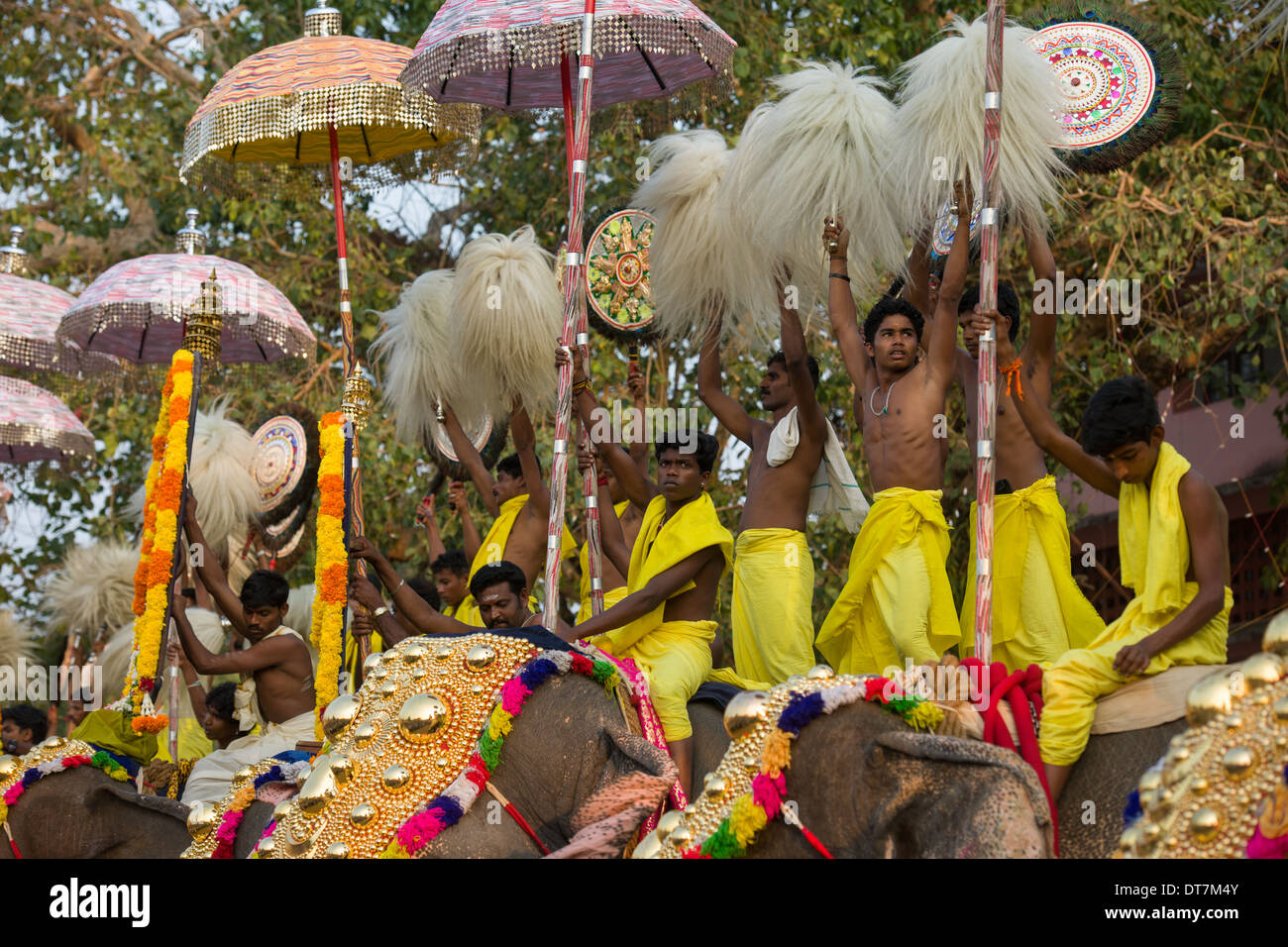 Les éléphants portant des Nettipattam Caparisoned or monté par des prêtres et Venchamaram Muthukuda holding parasols fouets à l'Goureeswara Temple Fête, Cherai, près de Kochi (Cochin), Kerala, Inde Banque D'Images