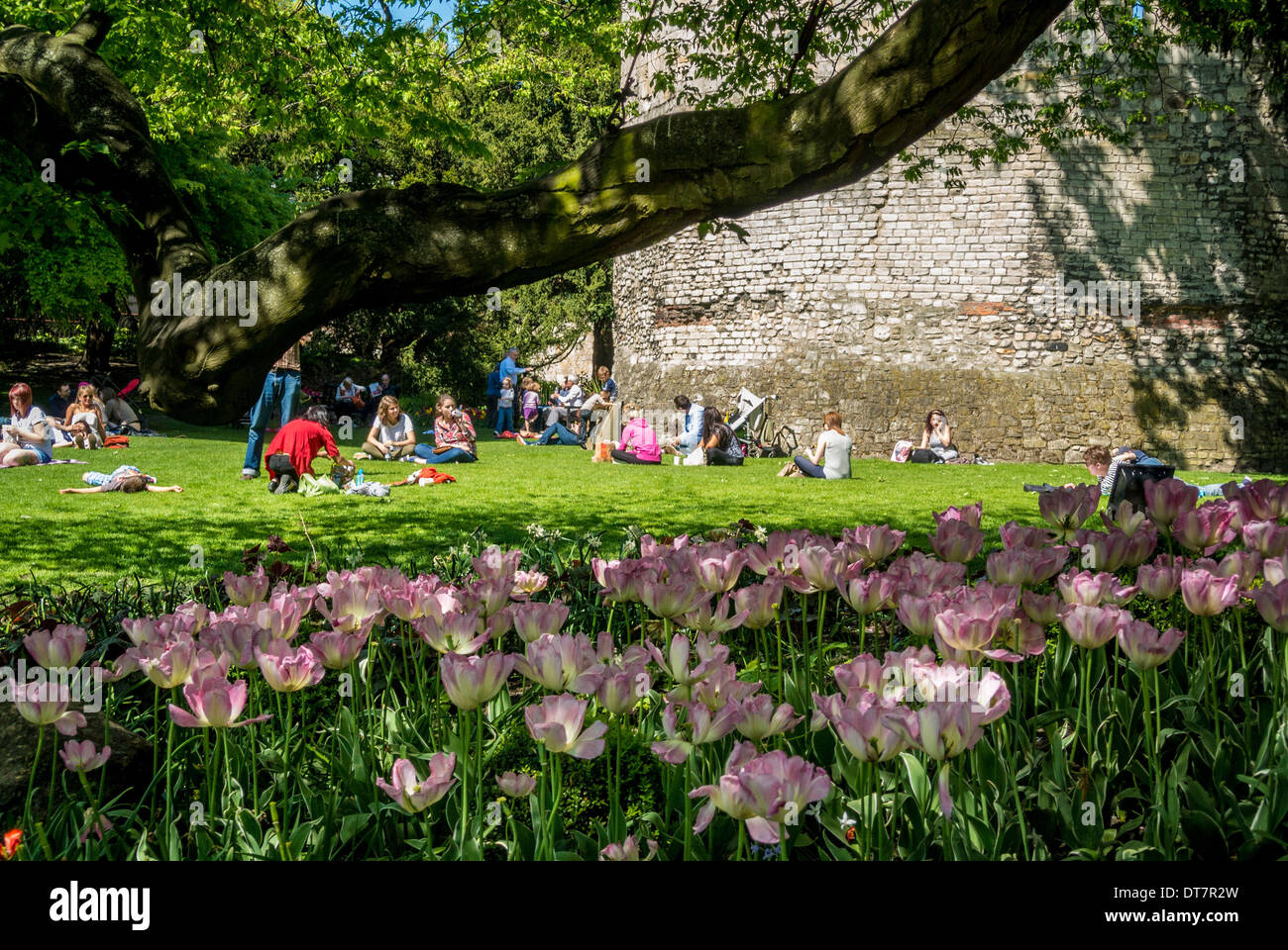 Touristes profitant du soleil du début de l'été dans les jardins du musée, York Banque D'Images