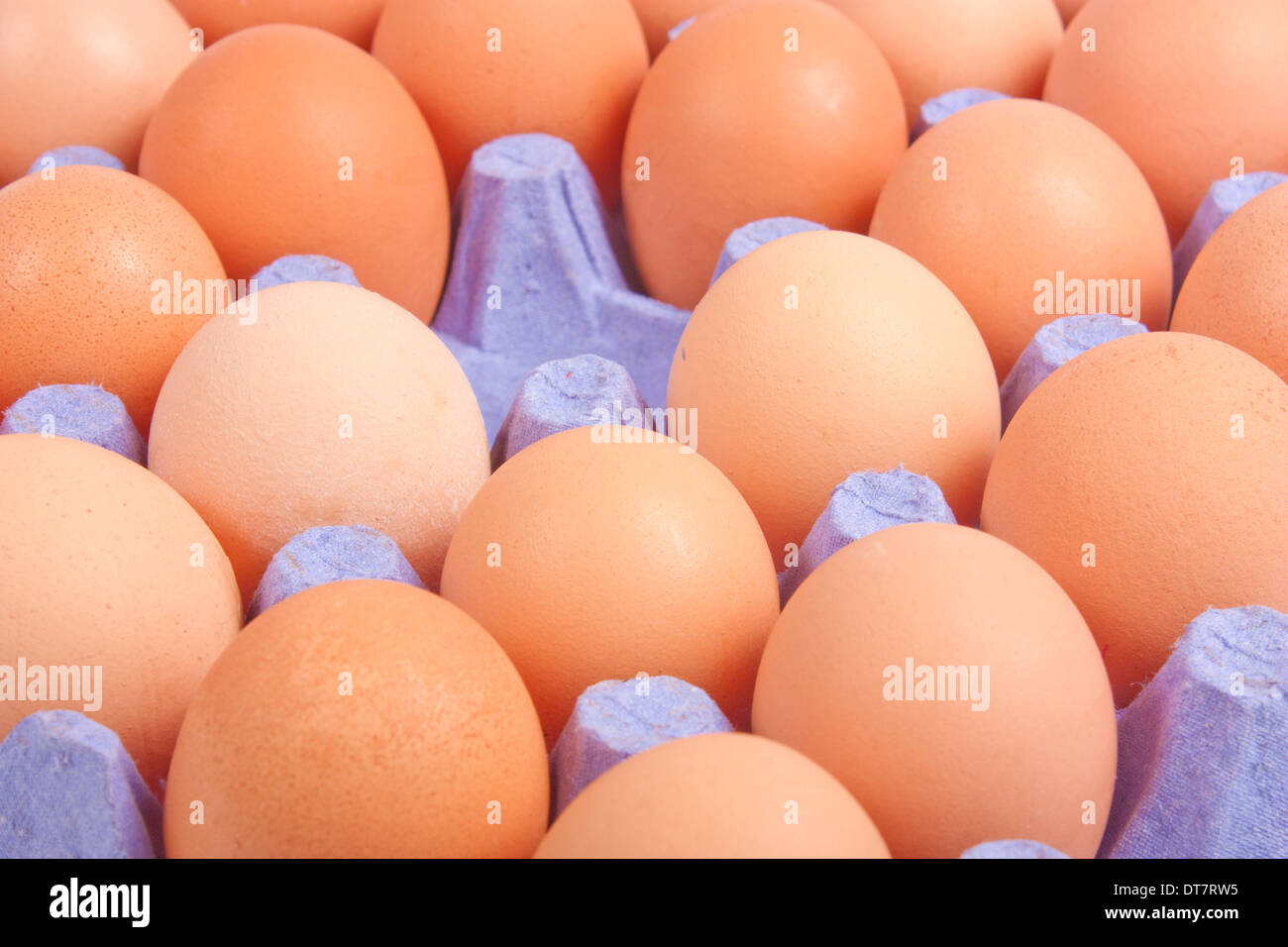 Des œufs frais en emballage en carton avec un élément manquant Banque D'Images