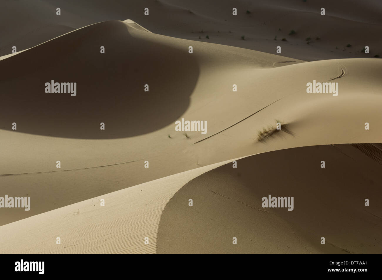 Marqué de lignes par le vent dans l'une des dunes de sable du désert du Sahara à l'Erg Chebbi, Merzouga, Maroc Banque D'Images