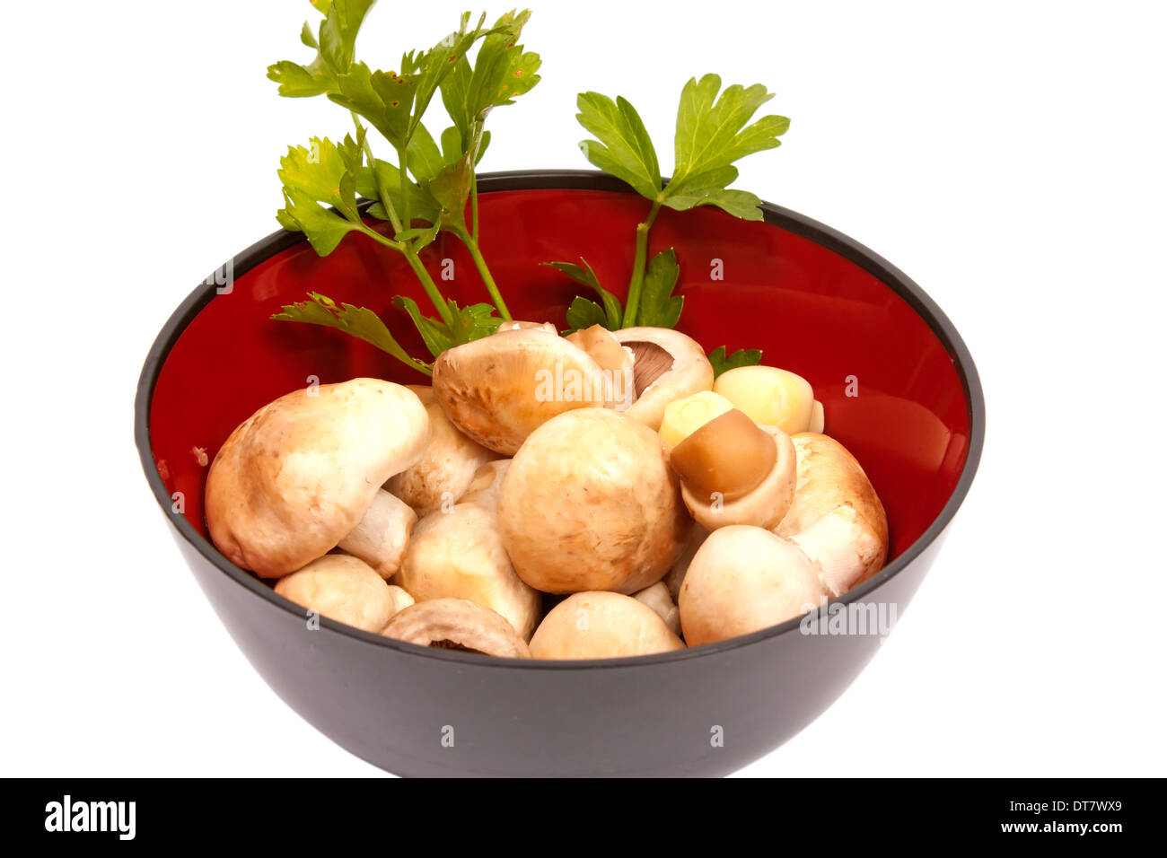 Un bol avec des champignons, l'ail et persil isolé sur fond blanc Banque D'Images