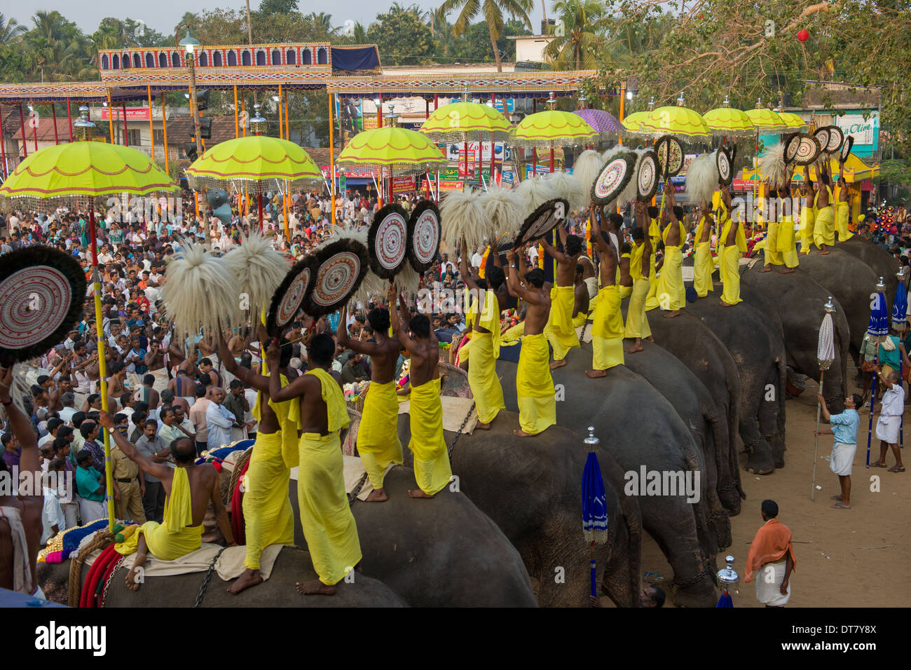 La ligne des éléphants d'être monté par des prêtres et Venchamaram Muthukuda holding parasols fouets à l'Goureeswara Temple Fête, Cherai, près de Kochi (Cochin), Kerala, Inde Banque D'Images