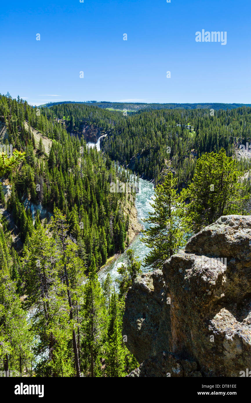 Rive nord donnent sur sur le Grand Canyon de la Yellowstone à vers Lower Falls, parc national de Yellowstone, Wyoming, USA Banque D'Images