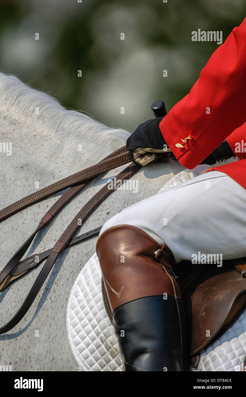 Rider holding rênes sur un cheval gris Banque D'Images