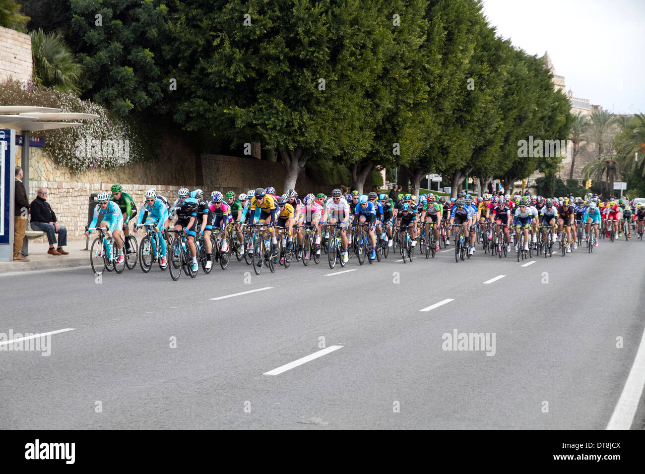 Palma de Majorque 9 Feb, 2014 Majorque 2014 Défi course cycliste groupe de cyclistes à Paseo Marittimo Banque D'Images