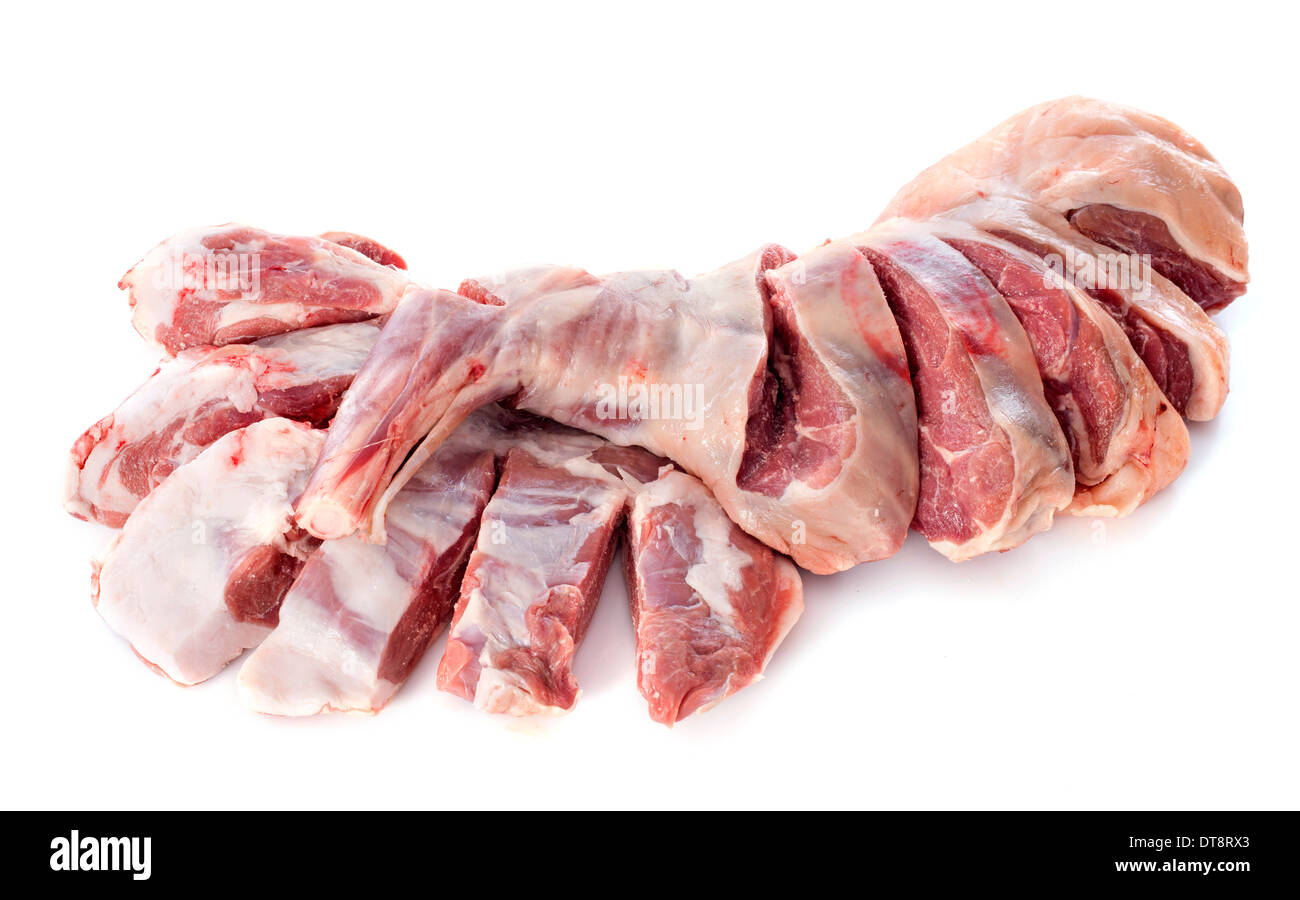 Les jambes et les épaules d'agneau in front of white background Banque D'Images