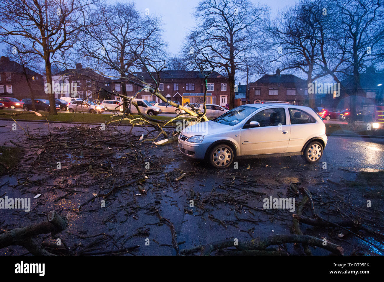 Liverpool, Royaume-Uni. 12 Février, 2014. Une voiture avait une quasi-collision avec la chute d'un arbre sur la A5058 Queens Drive dans la région de Old Swan de Liverpool au cours des vents forts le mercredi, 12 février, 2014. Personne n'a été blessé durant l'incident. Les vents ont été devrait atteindre jusqu'à 100mph que le Met Office a émis une alerte rouge pour le vent du nord-ouest de l'Angleterre. Crédit : Christopher Middleton/Alamy Live News Banque D'Images