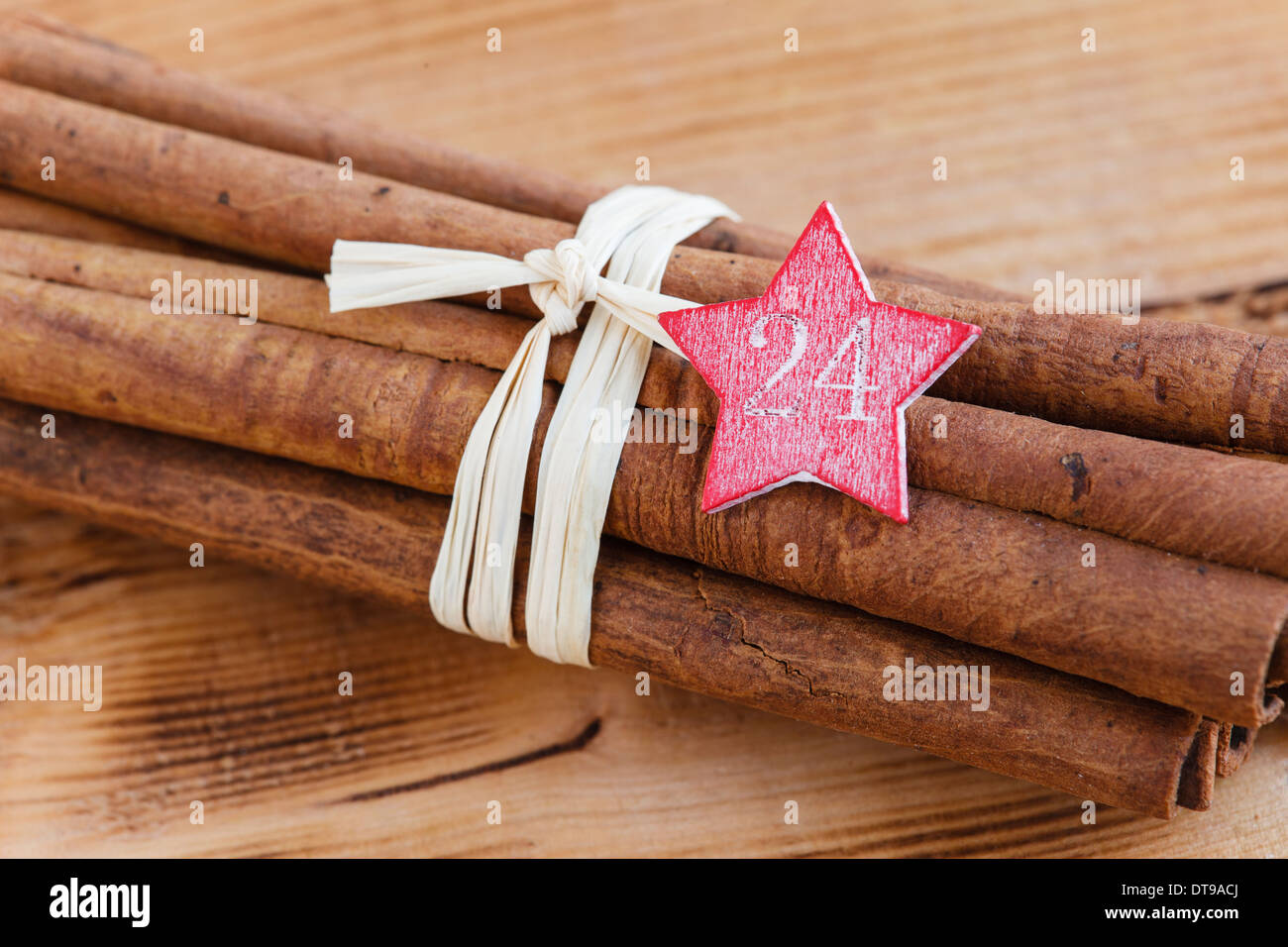 Cinnamon star 24 jours Banque D'Images