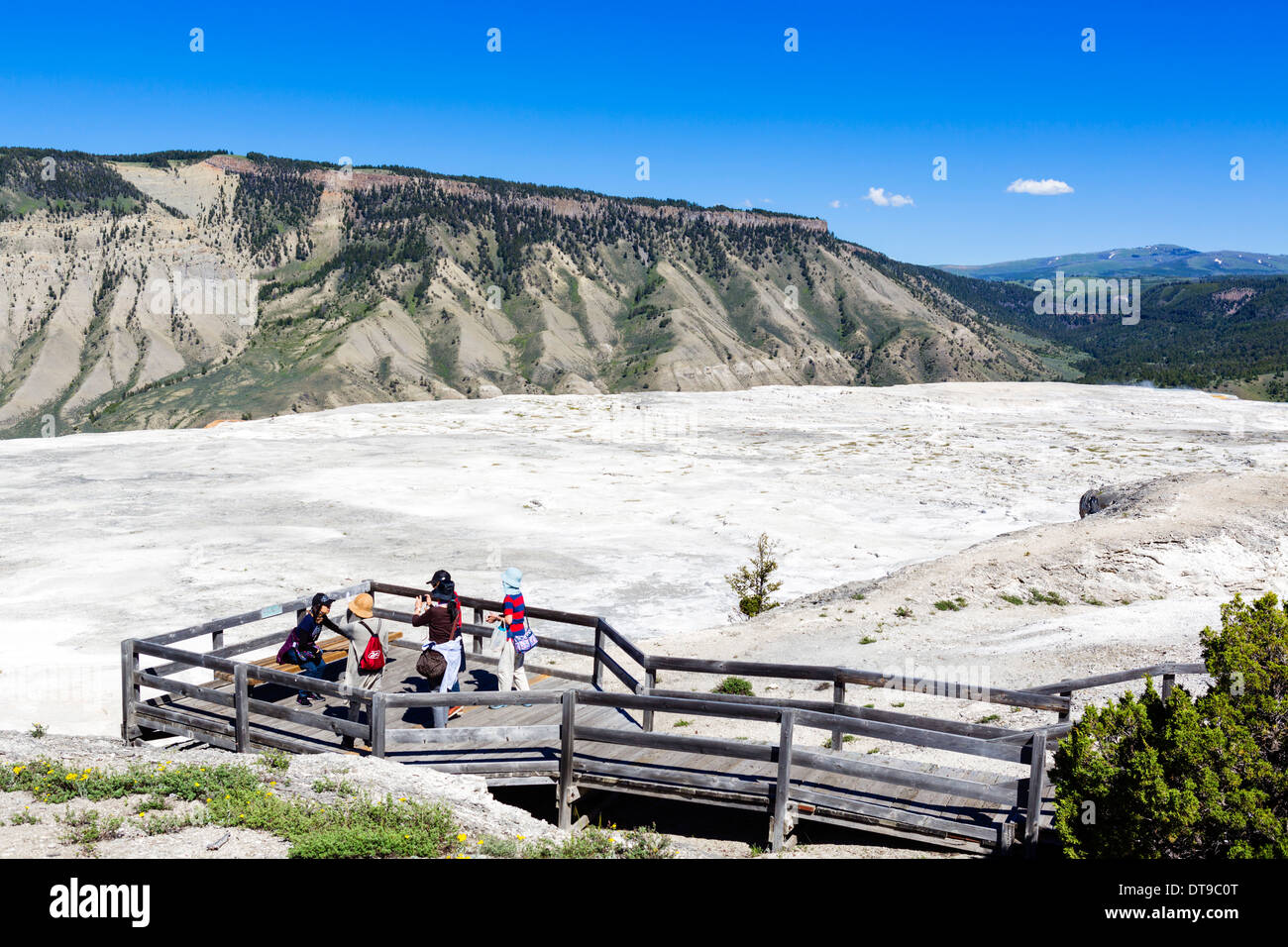 Les touristes l'affichage de la terrasse principale à Mammoth Hot Springs Terrasses, Parc National de Yellowstone, Wyoming, USA Banque D'Images