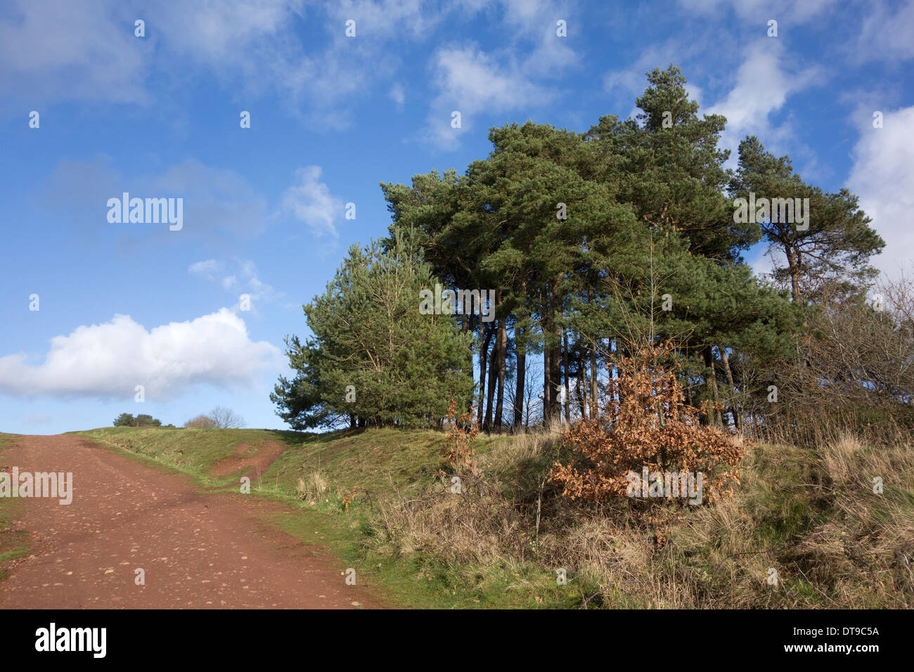 Clément Hills, Worcestershire, Angleterre, RU en hiver Banque D'Images