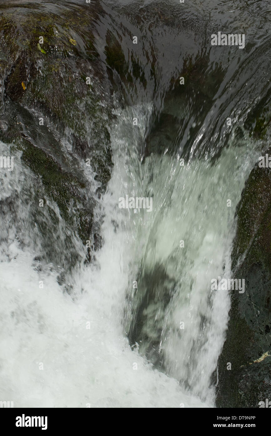 Chute d'eau. Cours supérieur de la rivière Savegre, Talamanea montagnes, le Costa Rica. L'Amérique centrale. Banque D'Images