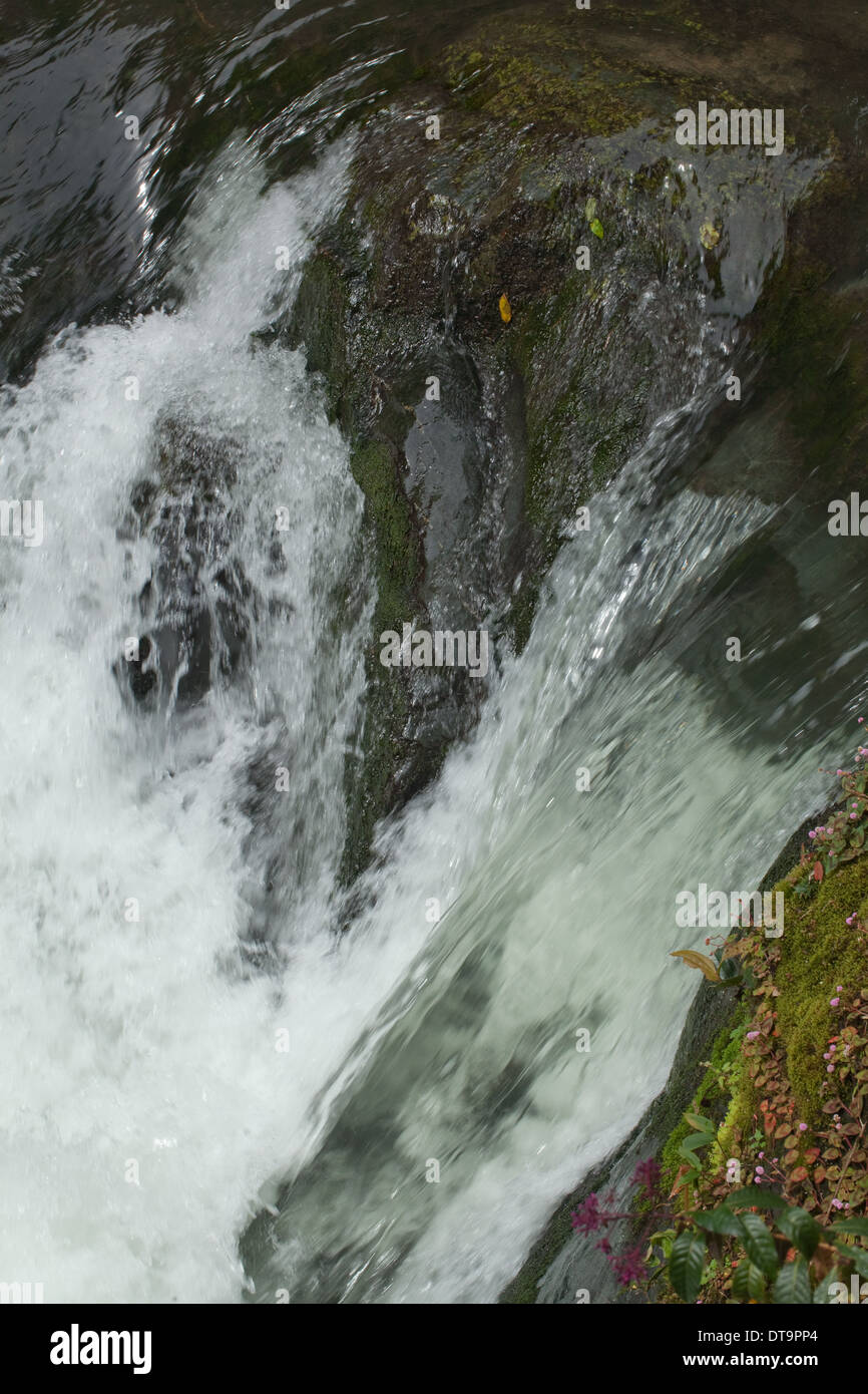 Chute d'eau. Cours supérieur de la rivière Savegre, Talamanea montagnes, le Costa Rica. L'Amérique centrale. Banque D'Images