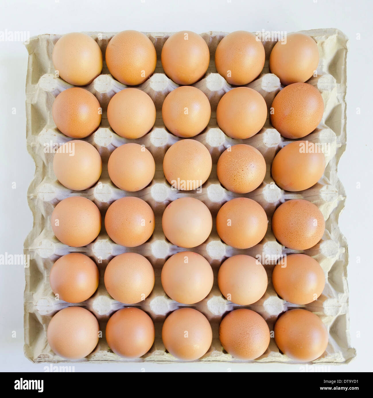 Avec trente œufs frais d'emballage Banque D'Images