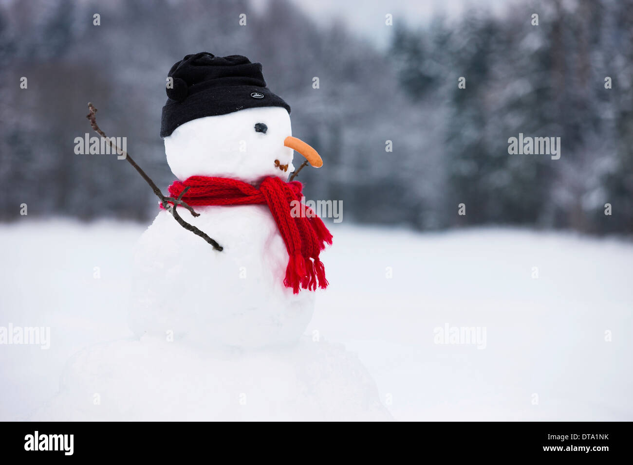 Snowman, Tyrol du Nord, Autriche Banque D'Images