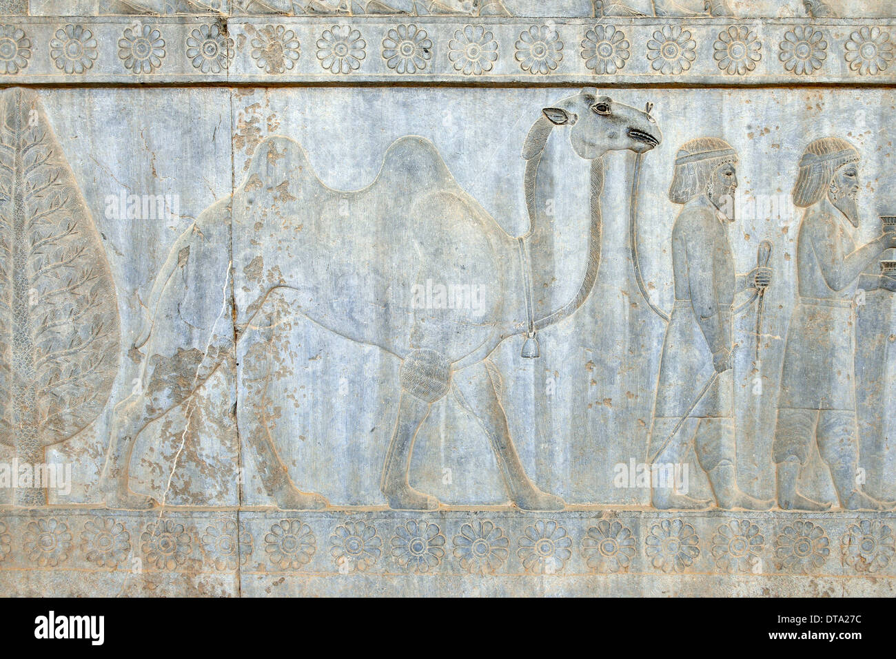 Délégation bas-relief, Palais Apadana, ancienne ville de Persépolis, UNESCO World Heritage Site, près de Shiraz, la province du Fars, Iran Banque D'Images