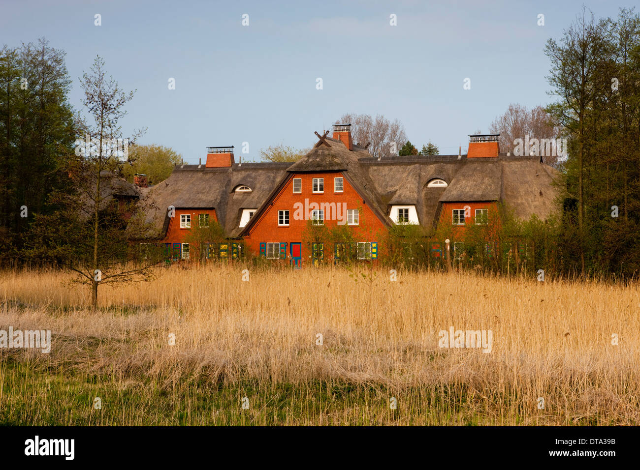 Maison de chaume, Ahrenshoop, Fischland-darss-Zingst, Mecklembourg-Poméranie-Occidentale, Allemagne Banque D'Images