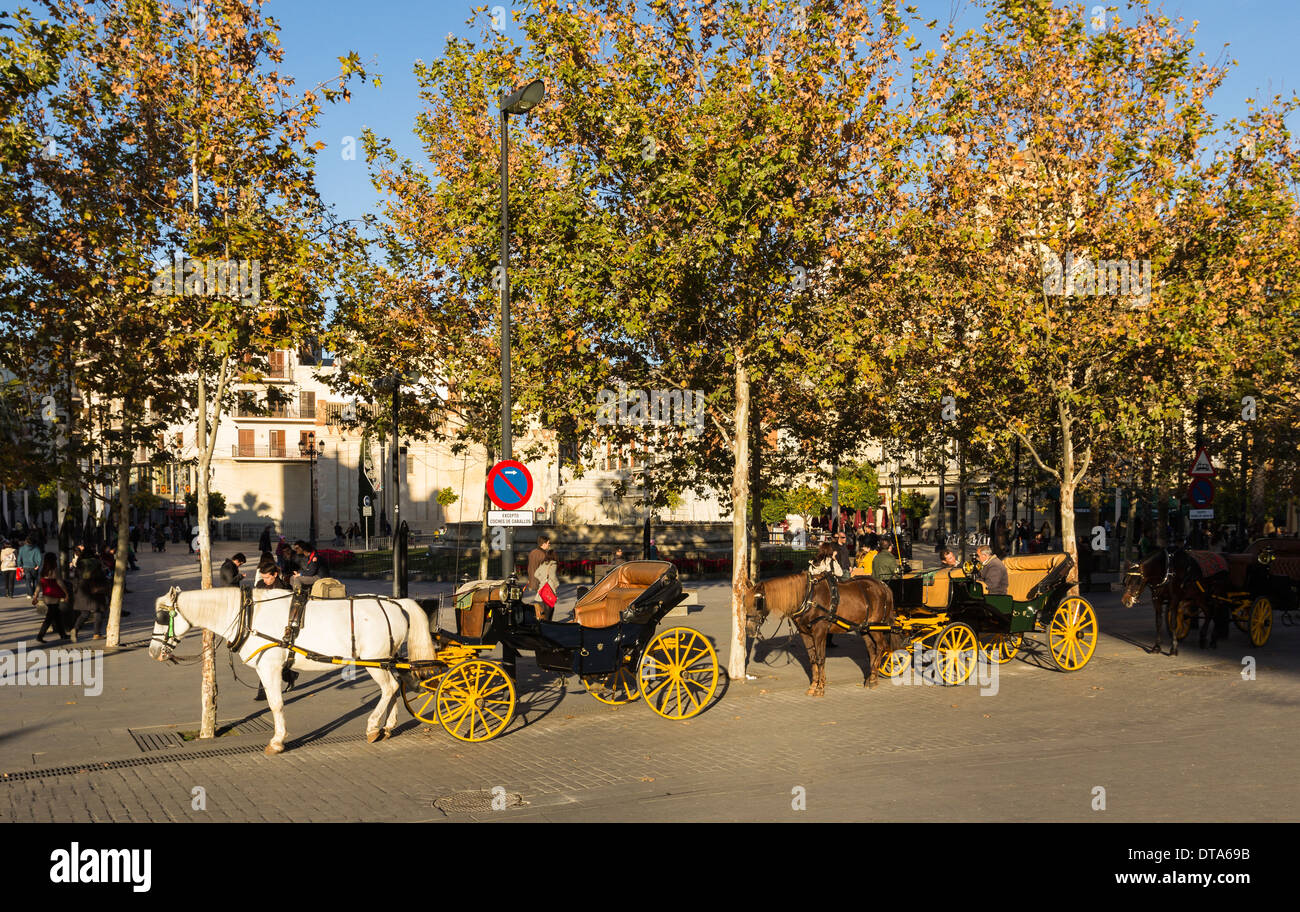 Séville Espagne la place Puerta de Jerez avec les chevaux et calèches ATTENDENT DES PASSAGERS SOUS LES ARBRES D'AUTOMNE Banque D'Images