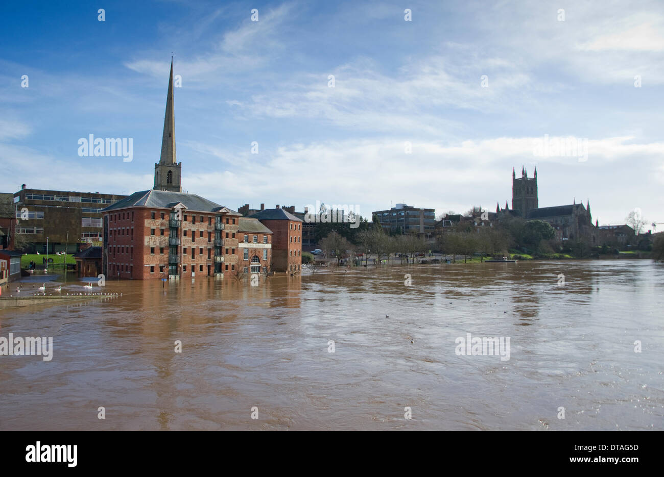 Worcester, Royaume-Uni. Feb 13, 2014. La rivière Severn à Worcester a dépassé les niveaux d'inondation record de 2007 atteindre 5.67m (18ft 7in) le 13 février 2014. Le centre ville principal pont-route a été fermée à la circulation pendant plusieurs jours, par mesure de précaution, avec une navette de bus en fonctionnement. La Cathédrale de Worcester est témoin de la poursuite de l'un des hivers les plus humides du Royaume-Uni jamais enregistré. Les prévisionnistes prévoient plus humide et venteux à venir. Pithie Crédit : Fraser/Alamy Live News Banque D'Images