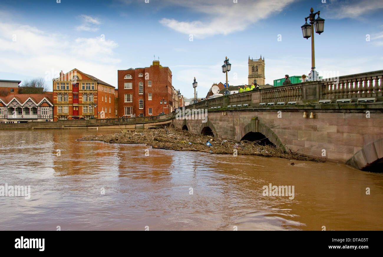 Worcester, Royaume-Uni. Feb 13, 2014. La rivière Severn à Worcester a dépassé les niveaux d'inondation record de 2007 atteindre 5.67m (18ft 7in) le 13 février 2014. Le centre ville principal pont-route a été fermée à la circulation pendant plusieurs jours, par mesure de précaution, avec une navette de bus en fonctionnement. Une masse de débris, porté sur le débit de la partie supérieure de la rivière dans le Shropshire et le Pays de Galles, s'est accumulée contre le parapet du pont. Les prévisionnistes prévoient plus humide et venteux à venir. Pithie Crédit : Fraser/Alamy Live News Banque D'Images