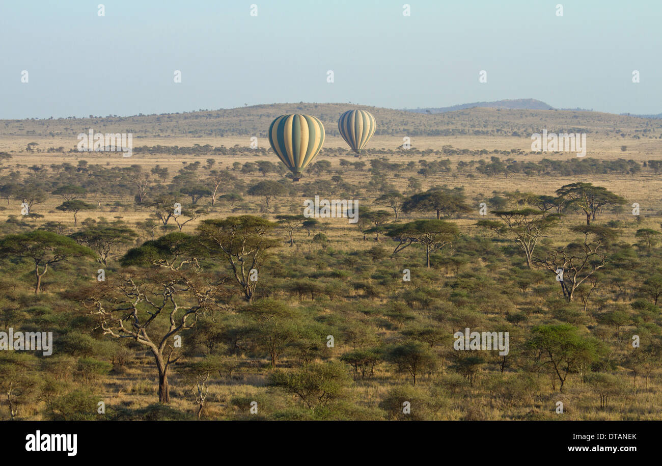 Plus de ballons le Serengeti National Park, Tanzania, Africa Banque D'Images