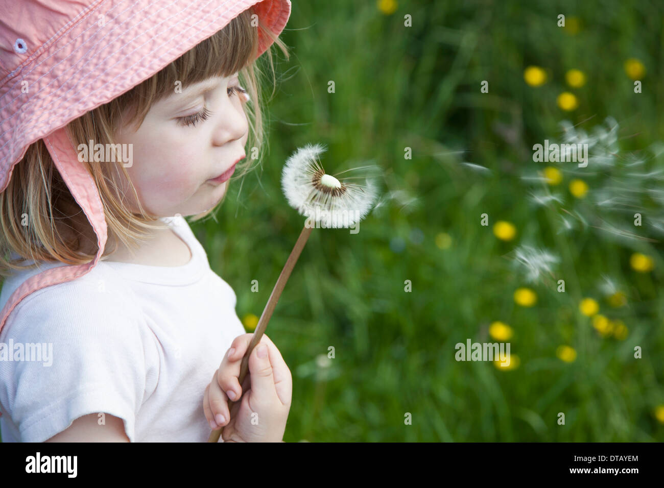 Girl blowing dandelion flower, close-up Banque D'Images