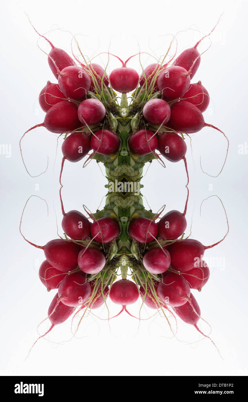 Un composite numérique d'images en miroir des grappes de radis Banque D'Images