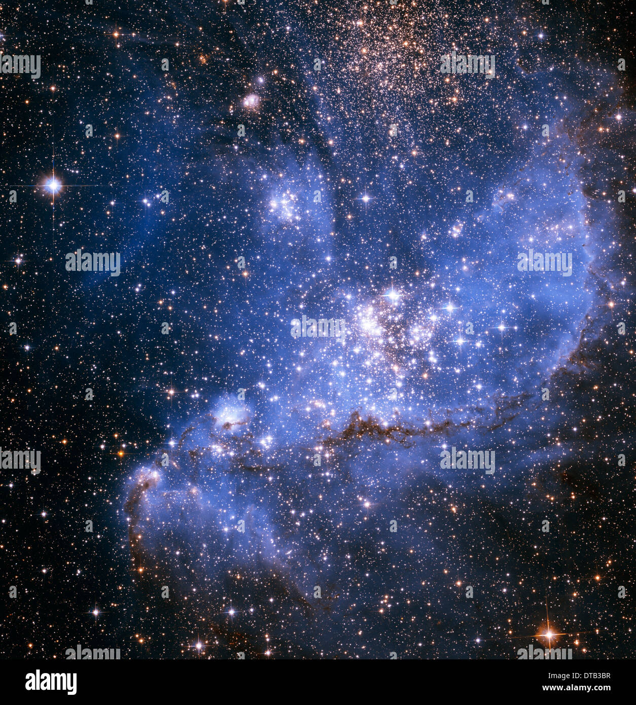 Stars du nourrisson intégré dans la nébuleuse NGC 346 comme vu par le télescope spatial Hubble Banque D'Images