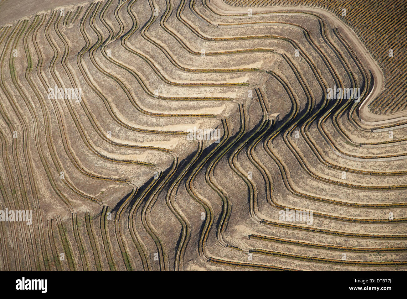 Vignoble en terrasses près de Lowburn, Central Otago, île du Sud, Nouvelle-Zélande - vue aérienne Banque D'Images